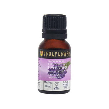 https://cdn.shopify.com/s/files/1/1857/6931/products/FV9wOrAiTO.jpg?v=1614911234